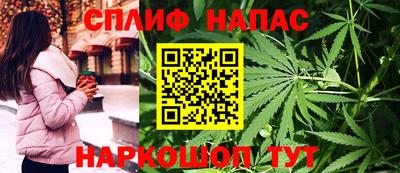 стаф Лесосибирск