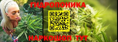 стаф Лесосибирск