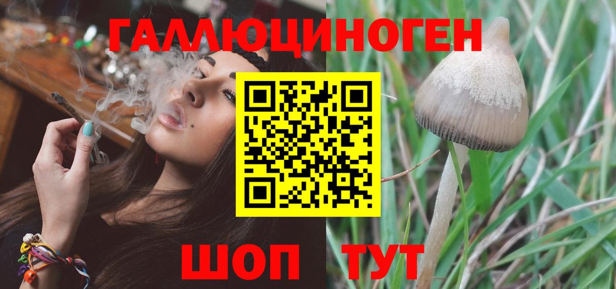 Галлюциногенные грибы Psilocybine cubensis Шатура
