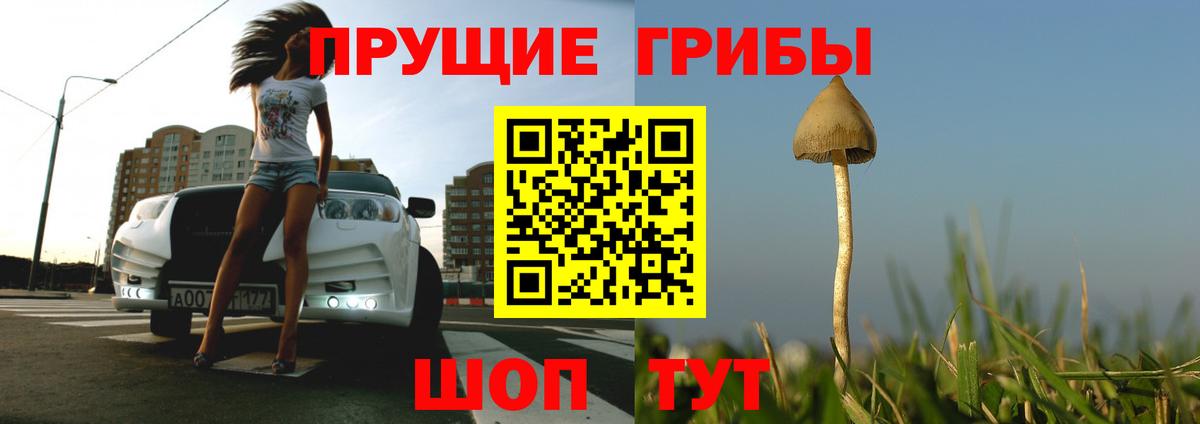 Шатура  Псилоцибиновые грибы MAGIC MUSHROOMS  Вход с VPN 